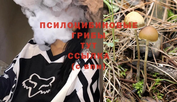 прущий лед Лагань