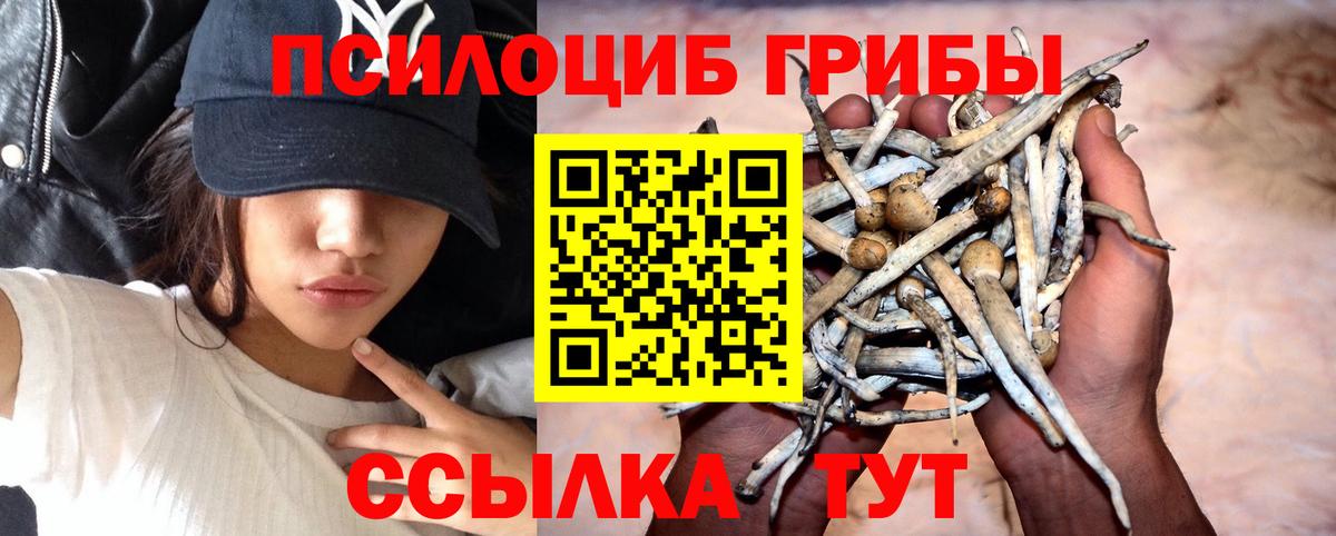 купить наркотик  Вход с VPN  Саров  Псилоцибиновые грибы мухоморы 