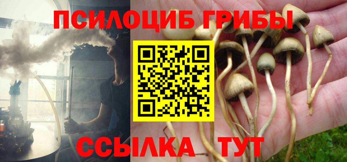 Псилоцибиновые грибы ЛСД Саров
